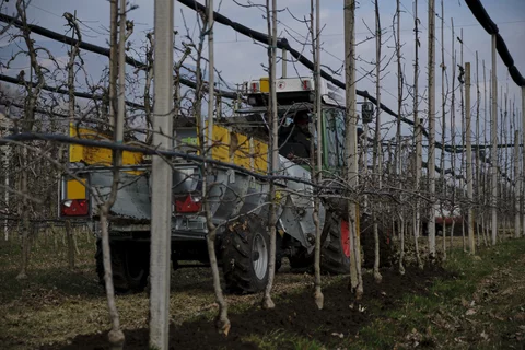 Stöckl trailer-mounted side spreader in use on an apple orchard
